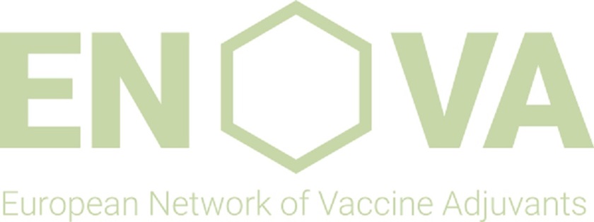 Enova-logo 02