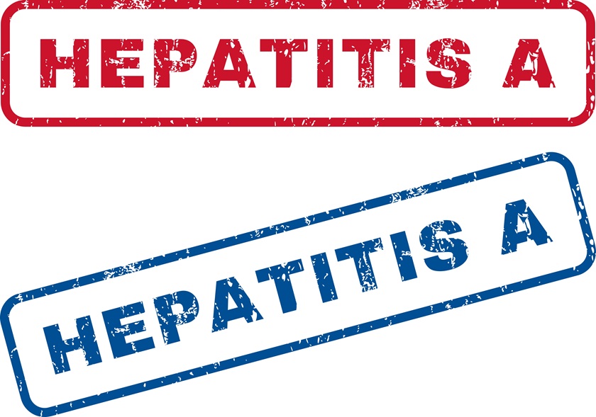 Hepatitis 02