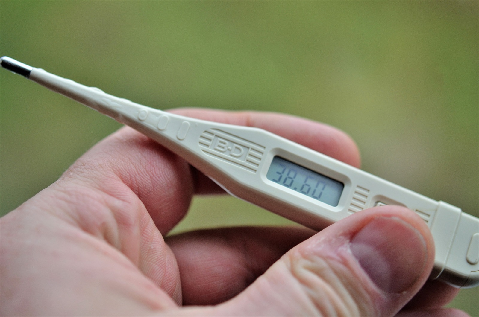 Billede af termometer der viser feber