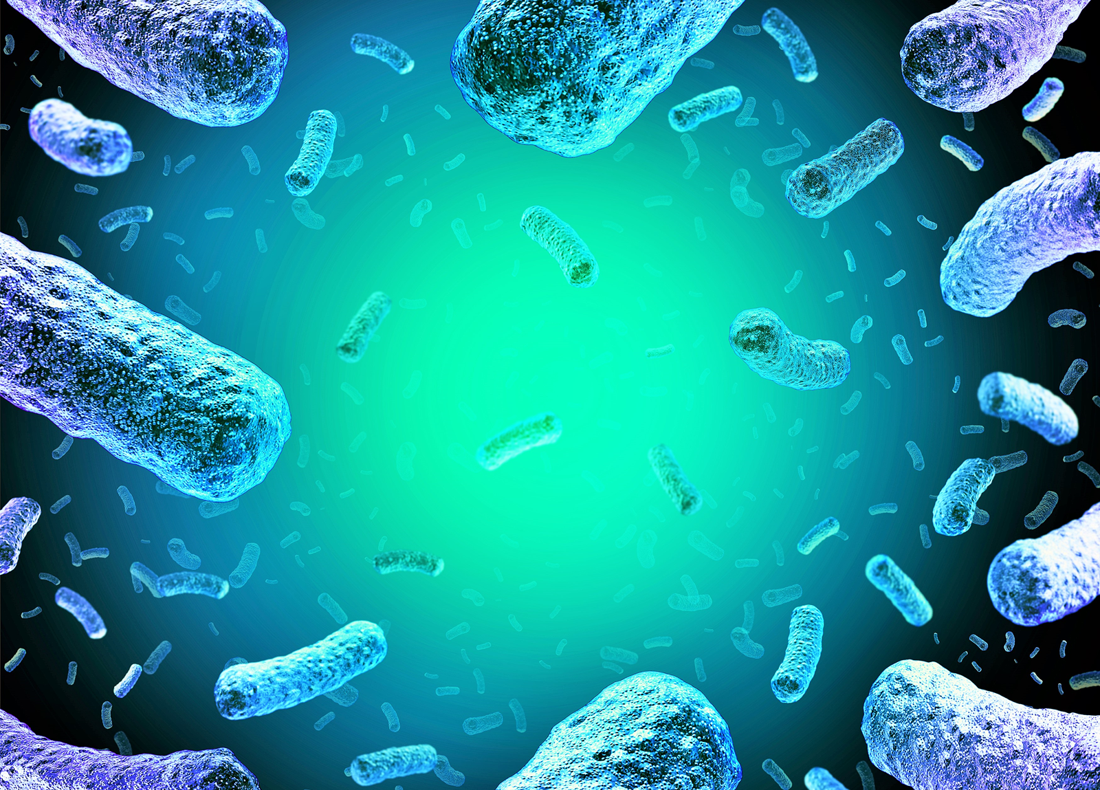Listeria 01