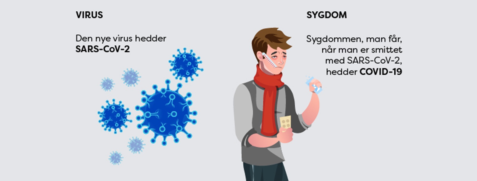 Illustration af virusnavn