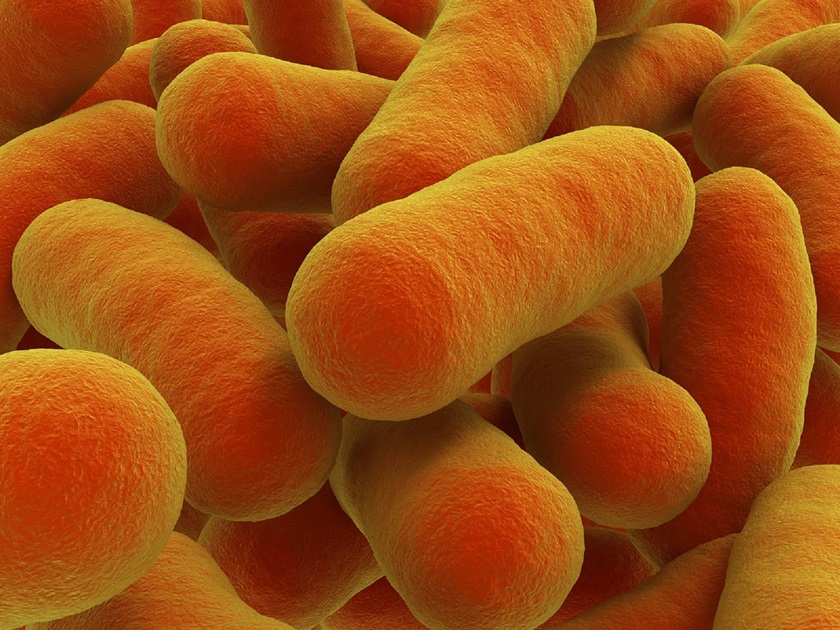 Billede af botulisme-bakterie