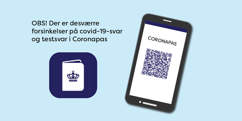 Grafik der gør opmærksom på forsinkelser i covid-19-testsvar