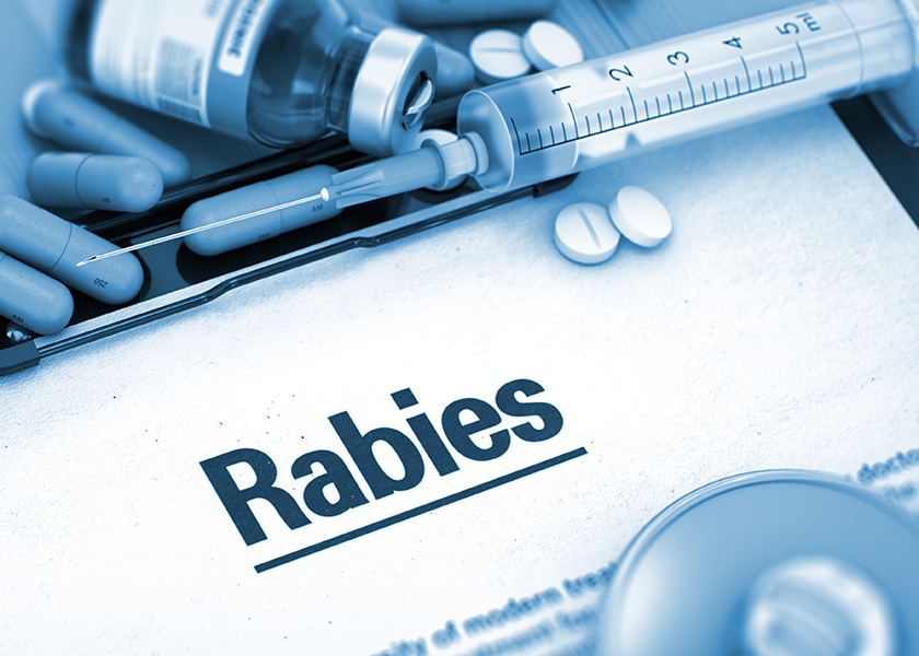 Billede af rabiesvaccine