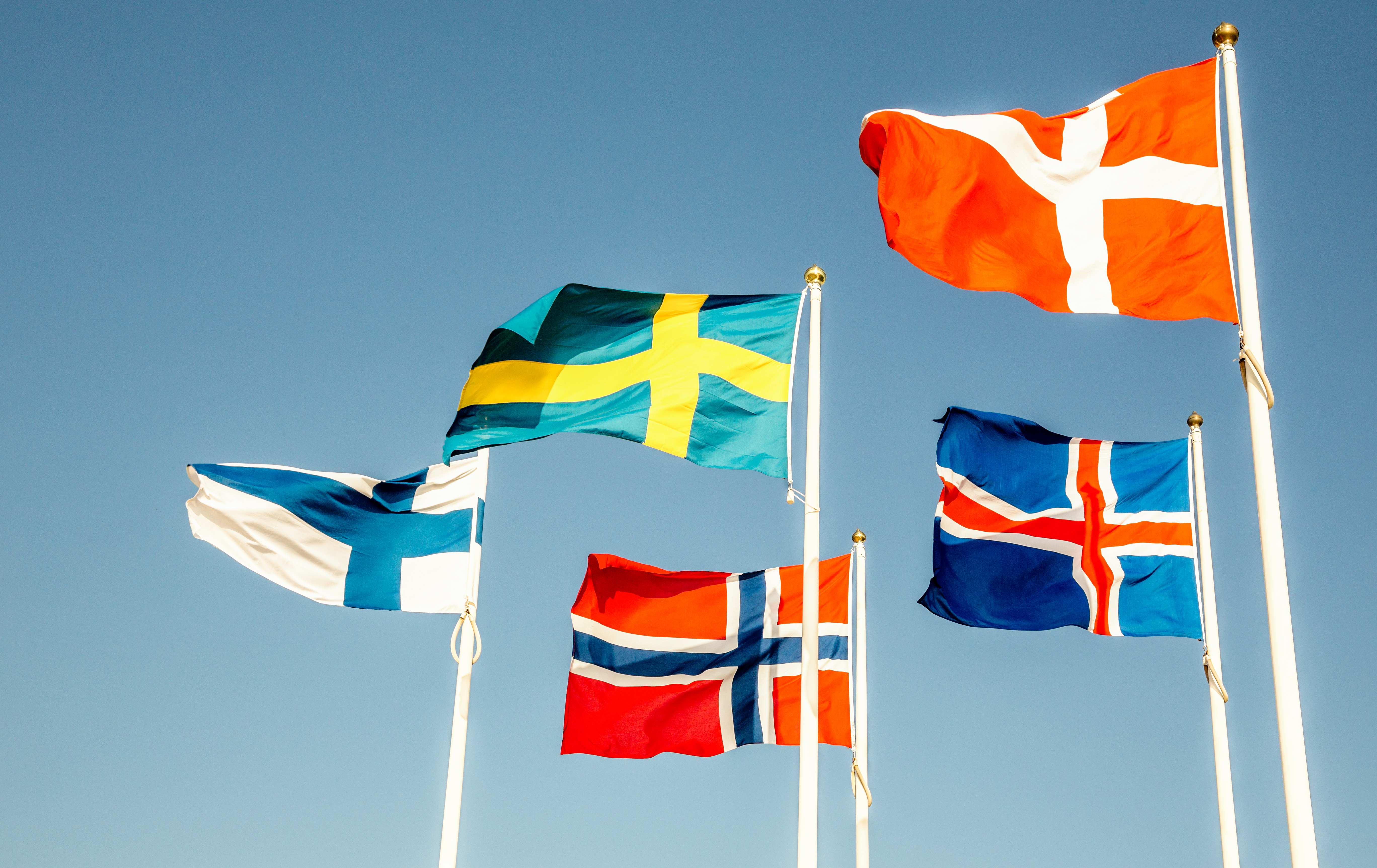 Fem flagstænger med fem flag, der blafrer i vinden