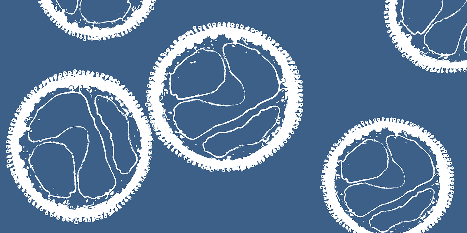 Hantavirus