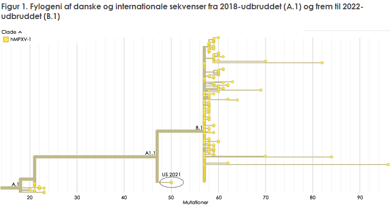 EPI-NYT 2022 uge 25 figur 1