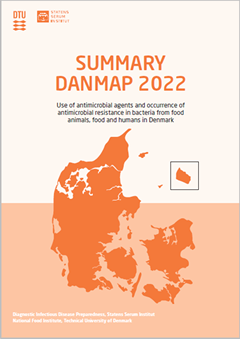 SUMMERY DANMAP 2022