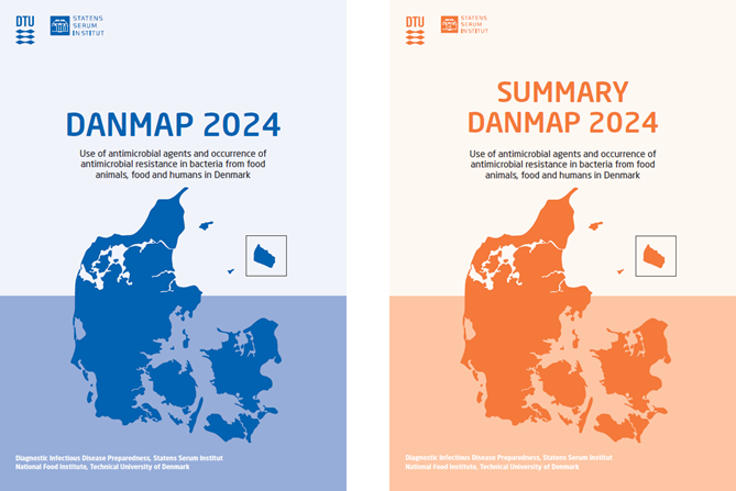 DANMAP 2024-rapport
