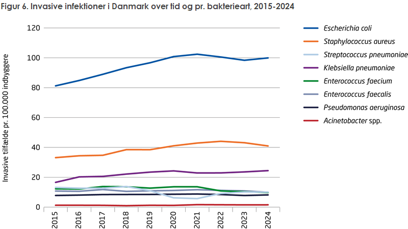 Figur 6. Invasive infektioner i Danmark over tid og pr. bakterieart, 2015-2024