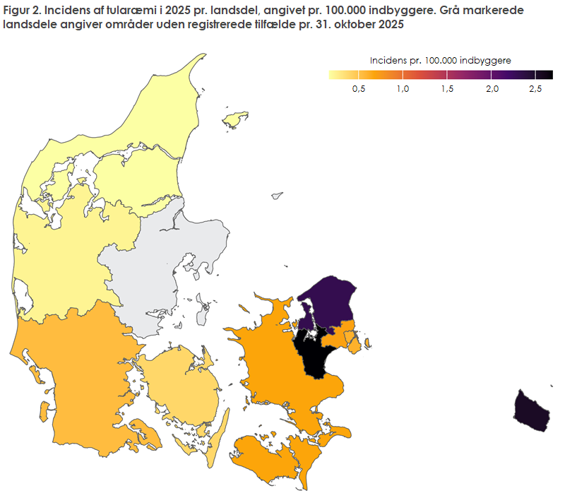 Figur 2. Incidens af tularæmi i 2025 pr. landsdel, angivet pr. 100.000 indbyggere. Grå markerede landsdele angiver områder uden registrerede tilfælde pr. 31. oktober 2025
