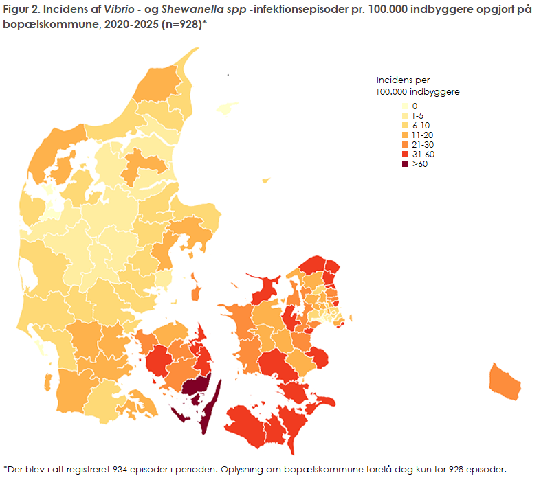Figur 2. Incidens af Vibrio- og Shewanella spp-infektionsepisoder pr. 100.000 indbyggere opgjort på bopælskommune, 2020-2025 (n=928)