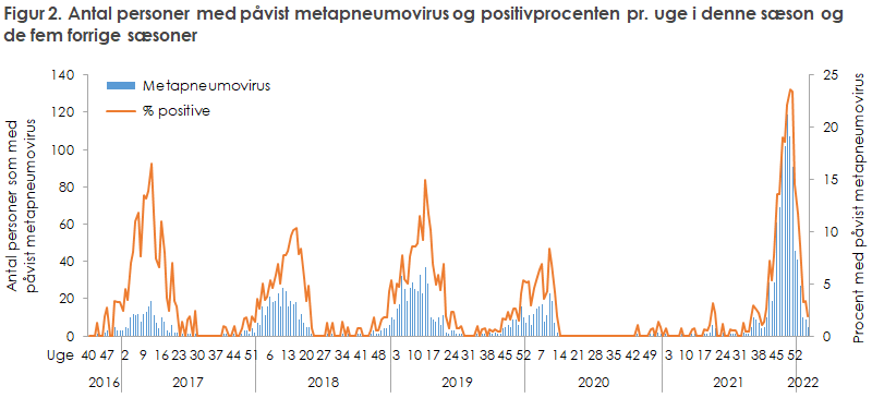 Antal personer med påvist metapneumovirus og positivprocenten pr. uge i denne sæson og de fem forrige sæsoner