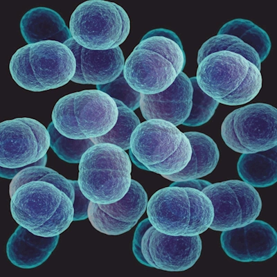 Vi overv&aring;ger forekomsten af resistente bakterier i mennesker, forsker i resistensformer og spredningsmekanismer og meget mere. G&aring; til hjemmesiden Antibiotika