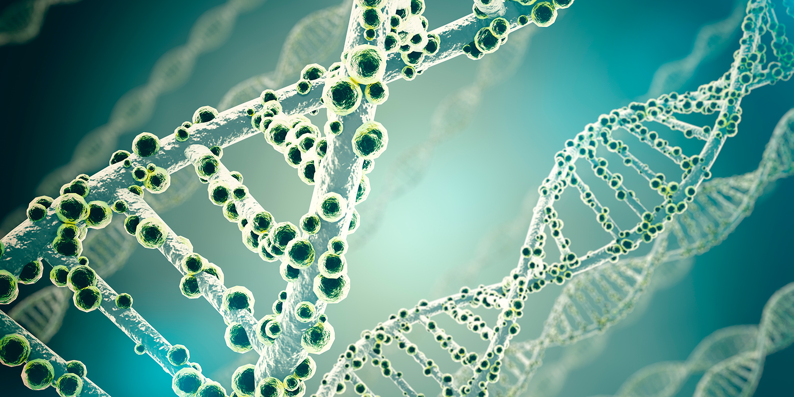 DNA strenge