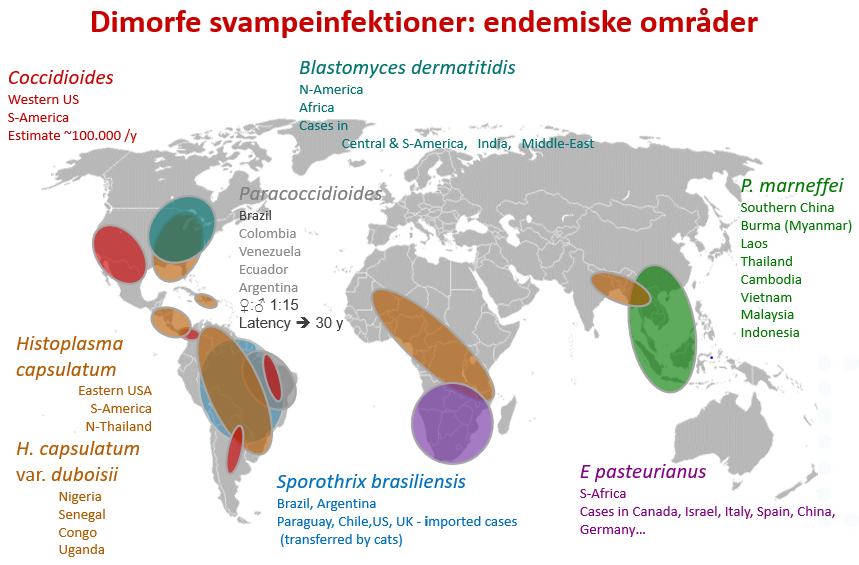 Dimorfe svampeinfektioner: endemiske områder