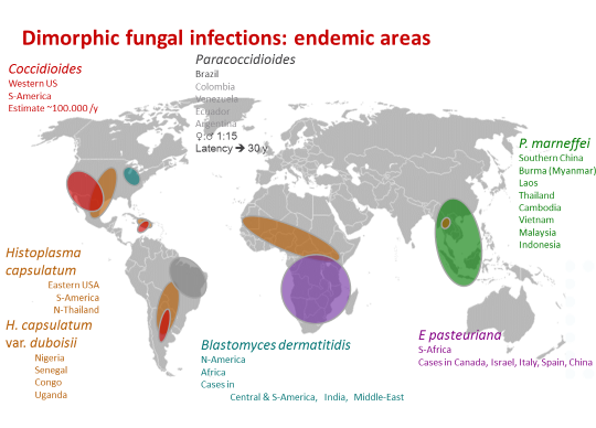 Dimorphic fungal infections: Endemic areas
