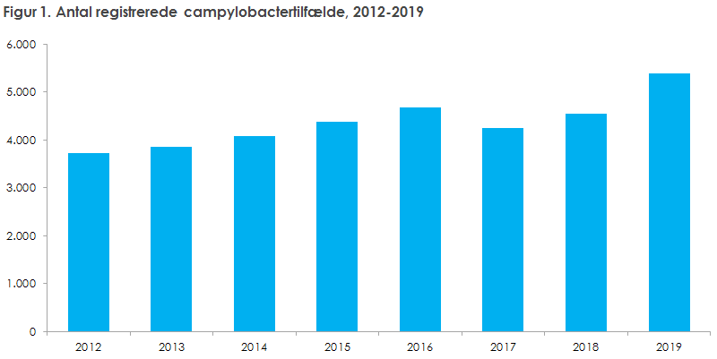 Figur 1. Antal registrerede campylobactertilfælde, 2012-2019