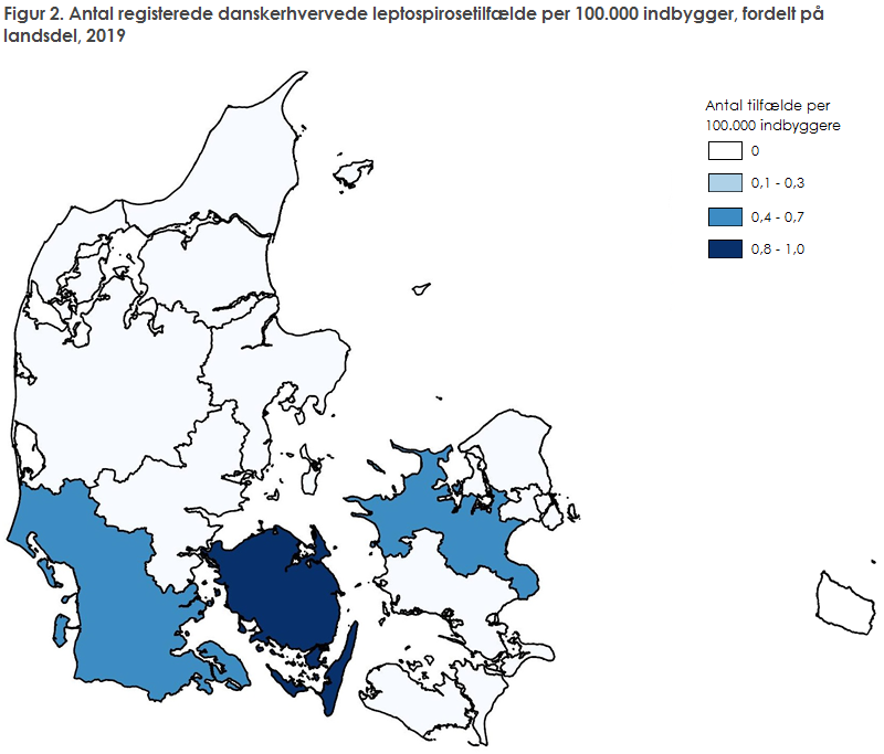Figur 2. Antal registerede danskerhvervede leptospirosetilfælde per 100.000 indbygger, fordelt på landsdel, 2019