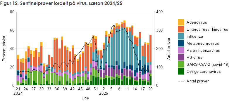 Figur 12. Sentinelprøver fordelt på virus, sæson 2024/25