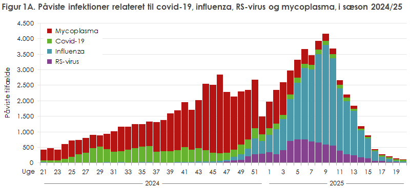 Figur 1A. Påviste infektioner relateret til covid-19, influenza, RS-virus og mycoplasma, i sæson 2024/25