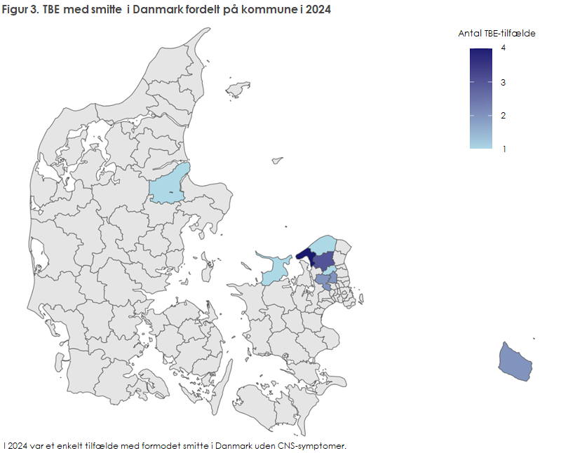Figur 3. TBE med smitte i Danmark fordelt på kommune i 2024