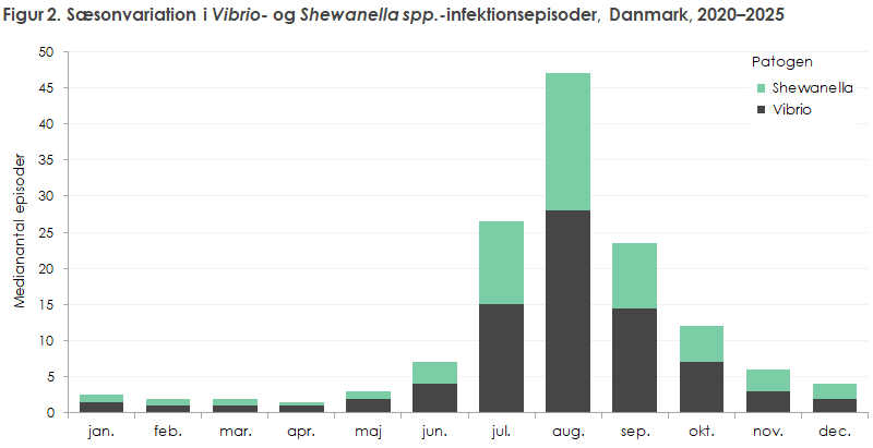 Figur 2. Sæsonvariation i Vibrio- og Shewanella spp.-infektionsepisoder, Danmark, 2020–2025
