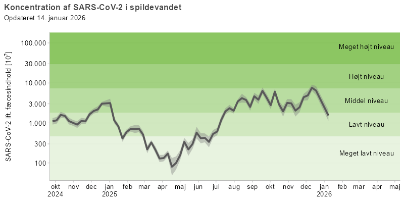 Figuren viser et  linjediagram over udviklingen af den gennemsnitlige koncentration af SARS-CoV-2 i spildevandet over de seneste 16 måneder. Koncentrationerne af viruspartikler er normaliseret efter koncentrationen af fæces i spildevandet.  linjediagrammet for SARS-CoV-2 viser en top på middel niveau i juli 2024, som falder til lavt niveau mellem august og december. Endnu en top på middel niveau ses fra december til januar 2025, hvorefter koncentrationen falder til meget lavt niveau i april. Fra maj ses en vedvarende stigning, og koncentrationen har siden august ligget på et middel niveau.