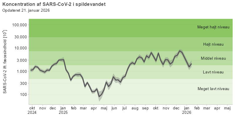 Figuren viser et  linjediagram over udviklingen af den gennemsnitlige koncentration af SARS-CoV-2 i spildevandet over de seneste 16 måneder. Koncentrationerne af viruspartikler er normaliseret efter koncentrationen af fæces i spildevandet.  linjediagrammet for SARS-CoV-2 viser en top på middel niveau i juli 2024, som falder til lavt niveau mellem august og december. Endnu en top på middel niveau ses fra december til januar 2025, hvorefter koncentrationen falder til meget lavt niveau i april. Fra maj ses en vedvarende stigning, og koncentrationen har siden august ligget på et middel niveau.