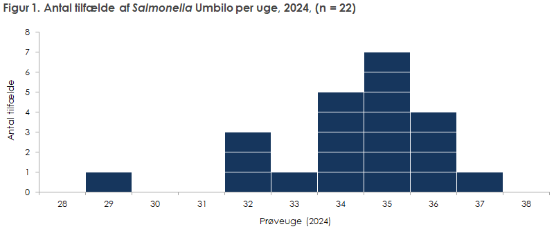 Figur 1. Antal tilfælde af Salmonella Umbilo per uge, 2024 (n=22)