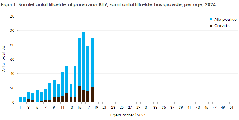 Figur 1. Samlet antal tilfælde af parvovirus B19, samt antal tilfælde hos gravide, per uge, 2024