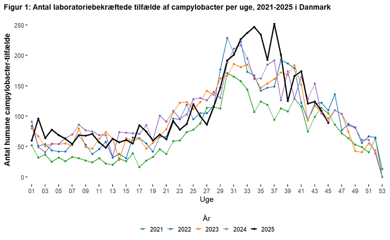 Figur 1. Antal laboratoriebekræftede tilfælde af campylobacter per uge, 2021-2025 i Danmark