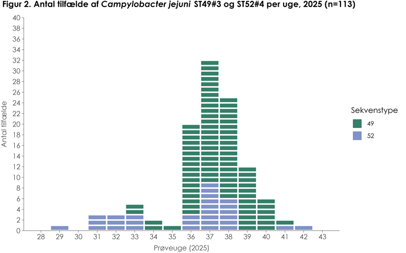 Figur 2: Antal tilfælde af Campylobacter jejuni ST49#3 og ST52#4 per uge, 2025