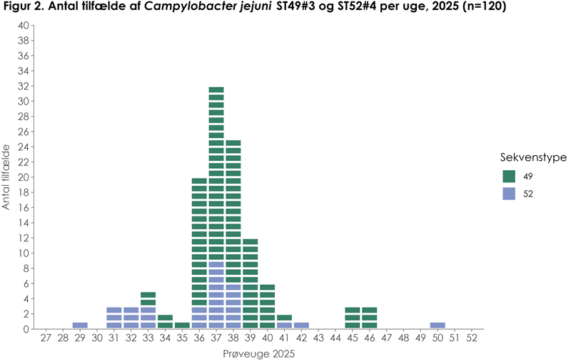 Figur 2: Antal tilfælde af Campylobacter jejuni ST49#3 og ST52#4 per uge, 2025