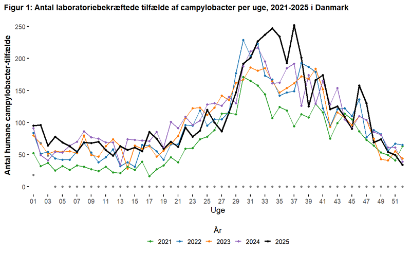 Antal laboratoriebekræftede tilfælde af campylobacter per uge 2021-202i Danmark5