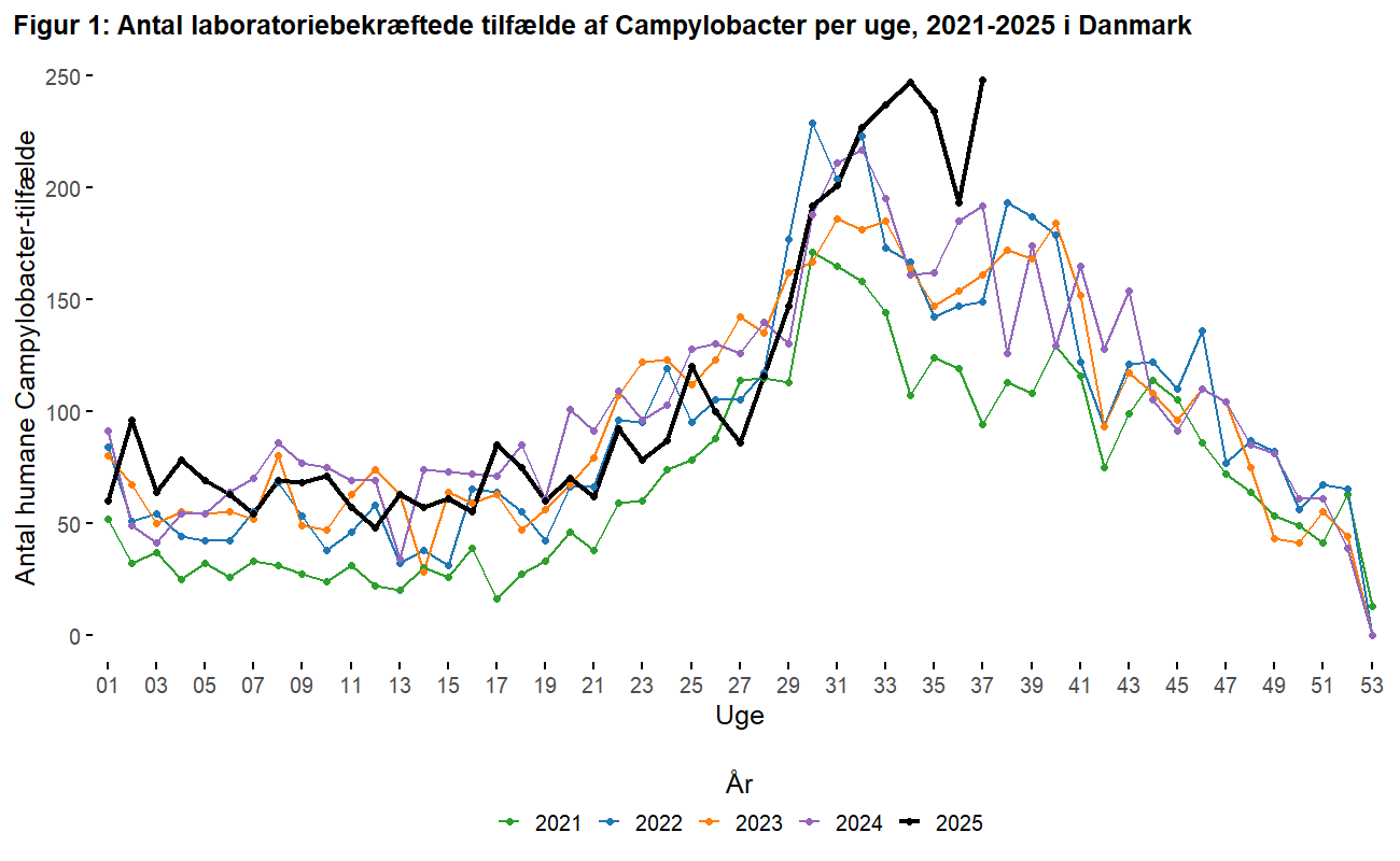 Campy seasonality by week