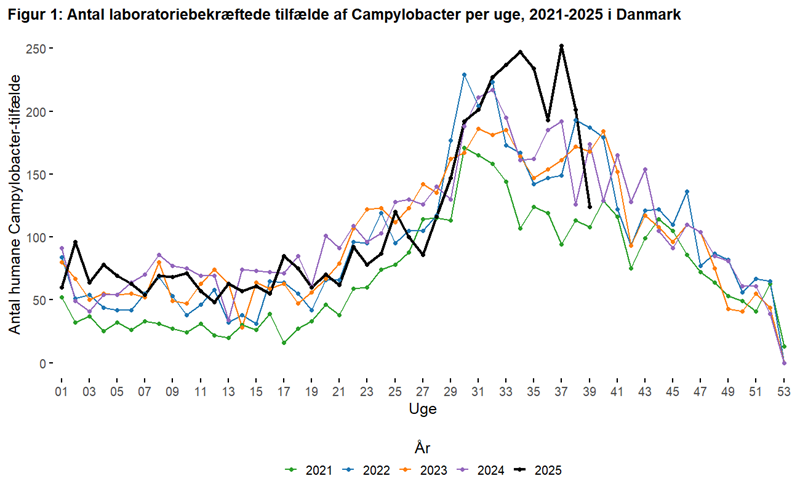 Campy seasonality by week