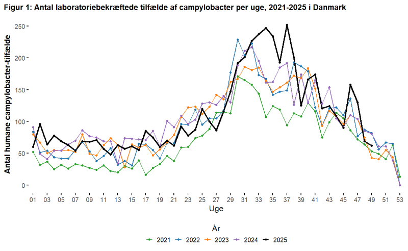 Campy seasonality by week