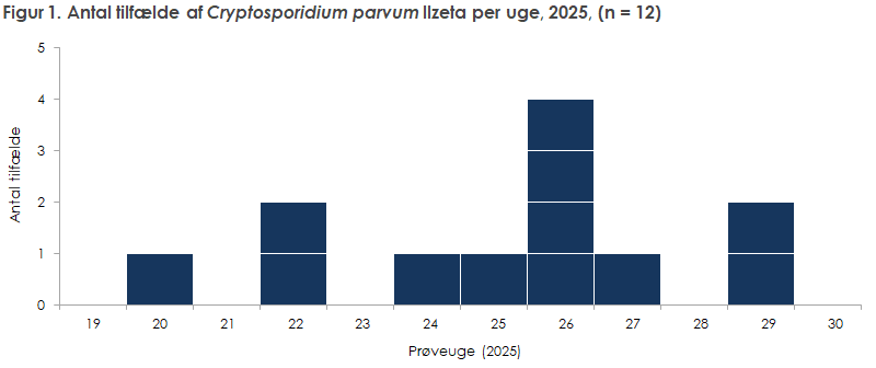 Figur 1. Antal tilfælde af Cryptosporidium parvum llzeta per uge, 2025, (n = 12)