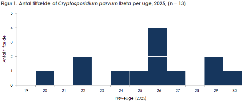Figur 1. Antal tilfælde af Cryptosporidium parvum llzeta per uge, 2025, (n = 13)