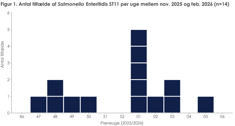 Figur 1. Antal tilfælde af Salmonella Enteritidis sekvenstype 11, per uge, 2025/2026 (n=14)