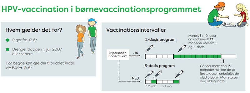 Figur 1. HPV infografik