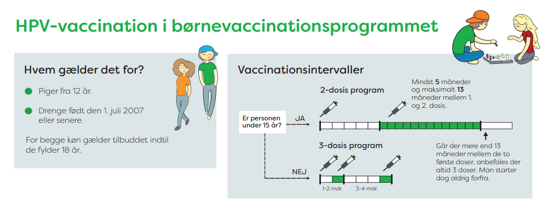 HPV_infografik