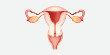 Vaccination mod Human Papilloma Virus (HPV)