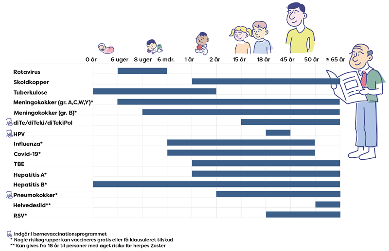 Grafik der viser vacciner, som kan tilkøbes, og hvilke aldersgrupper de er relevante for. Øverst er en tidslinje med alderstrin: 0 år, 6 uger, 8 uger, 6 måneder, 1 år, 2 år, 15 år, 18 år, 45 år, 50 år og 65+ år. Ud for hver vaccine viser en vandret bjælke den anbefalede aldersperiode: •	Rotavirus: fra 6 uger til 6 måneder. •	Skoldkopper: fra 1 år og op i voksenalderen. •	Tuberkulose: fra 0 til 2 år. •	Meningokokker (gruppe A, C, W, Y): fra 6 uger og op i voksenalderen. •	Meningokokker (gruppe B): fra 8 uger og op i voksenalderen. •	diTe/diTeki/diTekiPol: fra 15 år og op i voksenalderen. •	HPV: fra 15 til 18 år. •	Influenza: fra 6 måneder til omkring 50 år. •	Covid-19: fra 6 måneder til omkring 50 år. •	TBE: fra 1 år og op i voksenalderen. •	Hepatitis A: fra 1 år og op i voksenalderen. •	Hepatitis B: fra 0 år og op i voksenalderen. •	Pneumokokker: fra 2 år og op i voksenalderen. •	Helvedesild: fra 50 år og op. •	RSV: fra 18 år og op. Grafikken angiver desuden med ikoner og fodnoter, hvilke vacciner der indgår i børnevaccinationsprogrammet, og at nogle vacciner tilbydes gratis eller med tilskud til særlige risikogrupper.