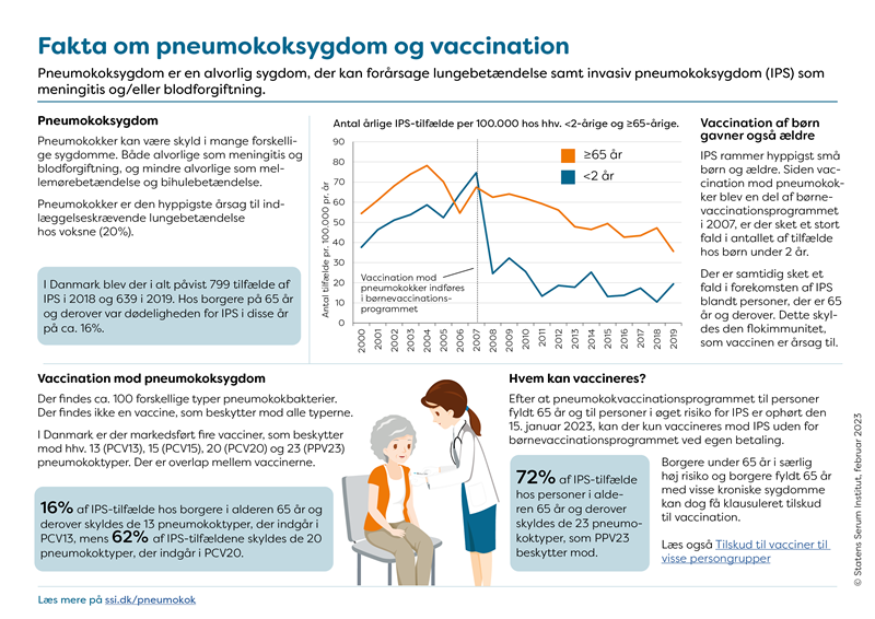 infografik om pneumokoksygdom