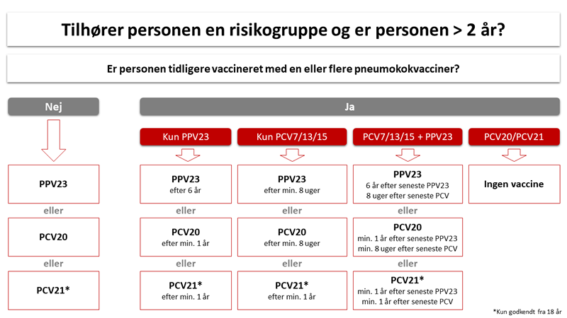 Oversigt over muligheder for pneumokokvaccination til personer over 2 år i øget risiko for alvorlig pneumokoksygdom