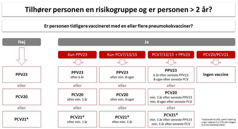 Oversigt over muligheder for pneumokokvaccination til personer over 2 år i øget risiko for alvorlig pneumokoksygdom