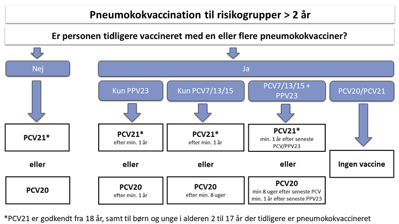 Flowchart over muligheder for pneumokokvaccination