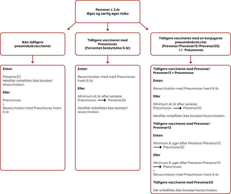 Pneumokokvaccine - flowchart_2025